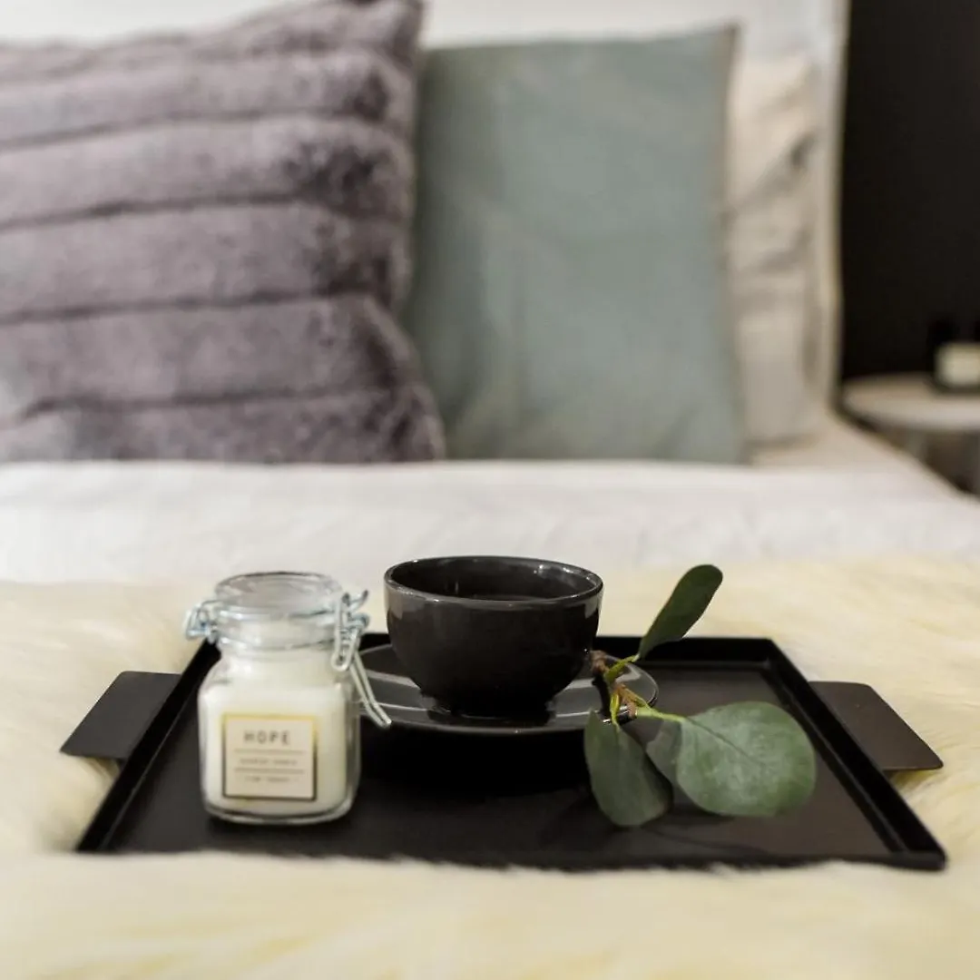 Regina Elisabeta Duplex-Style Studios: Cozy Haven In The City Center Bucharest 0*,  Romania